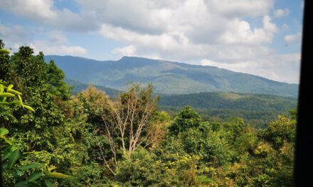 Das zweite Mal verliebt in Chiang Mai